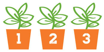 Growth & Development | Soar Through STEM