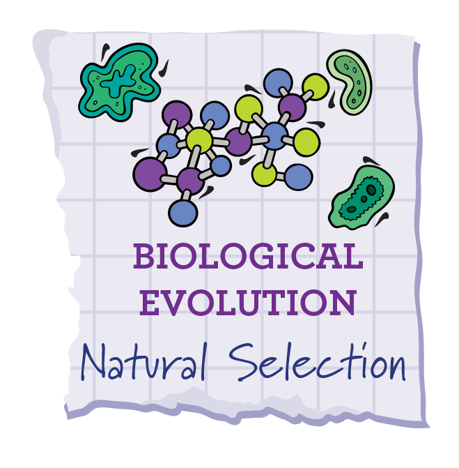 Natural Selection