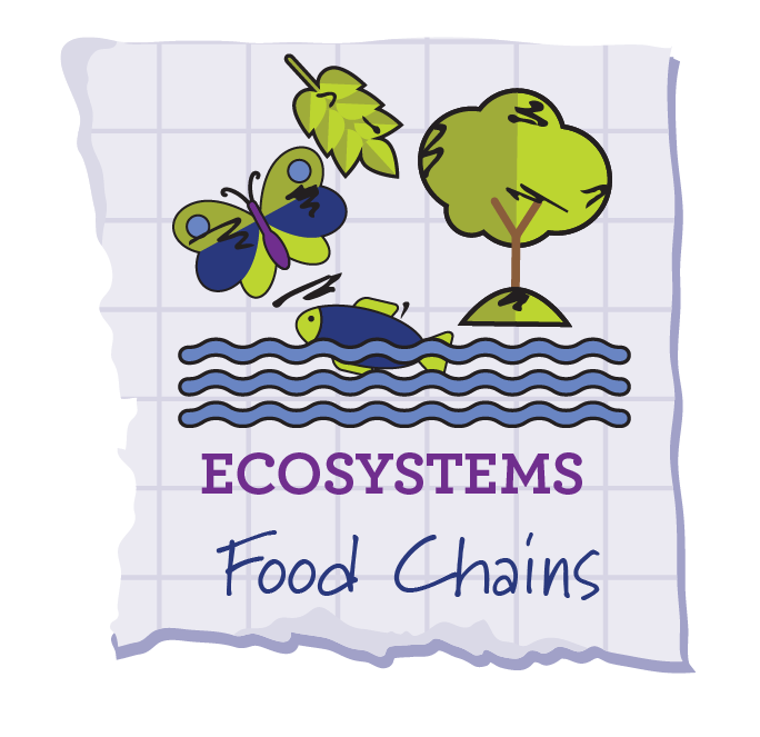 Food Chains