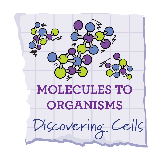 Discovering Cells